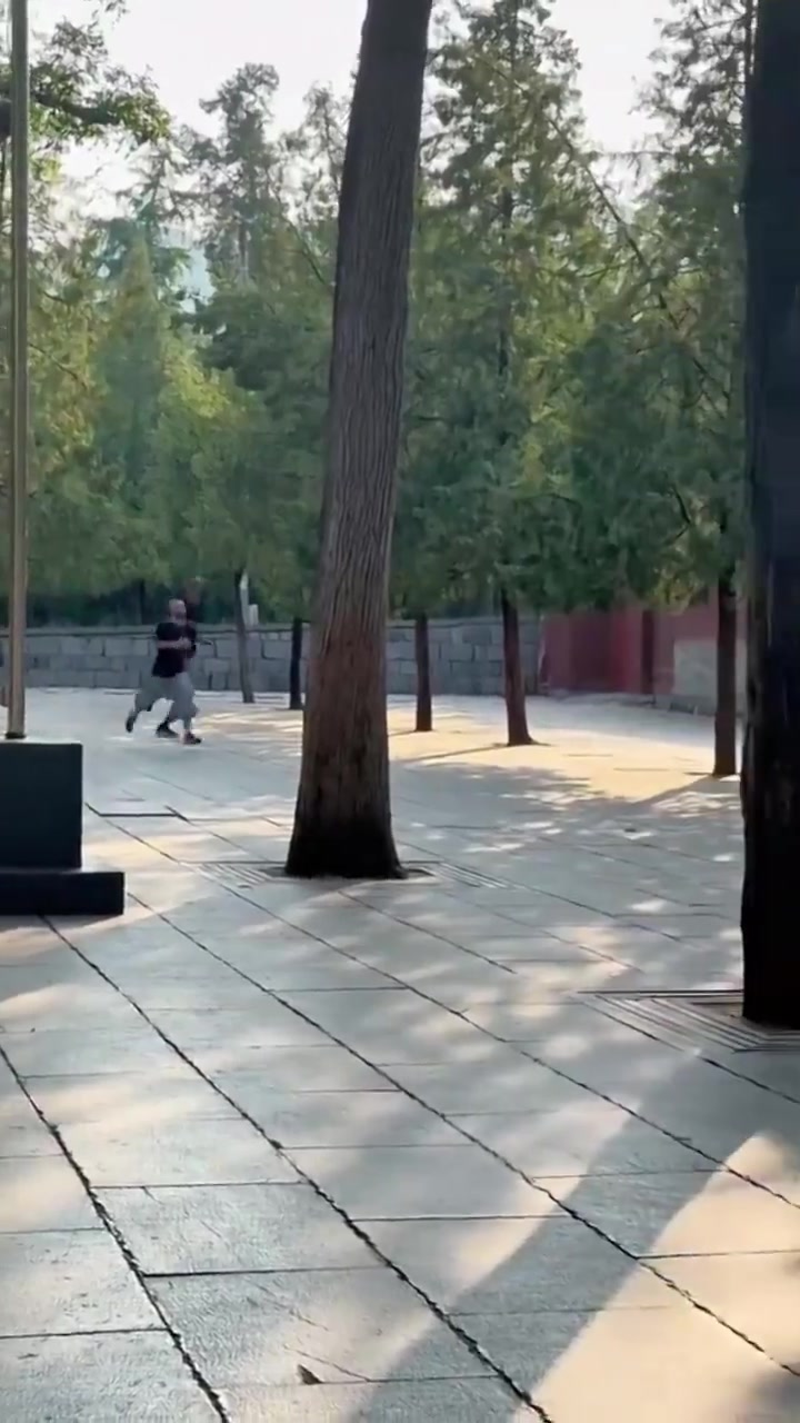 金年会体育修行倒计时👻“第一高僧”文班亚马又被拍到清晨在少林寺跑步